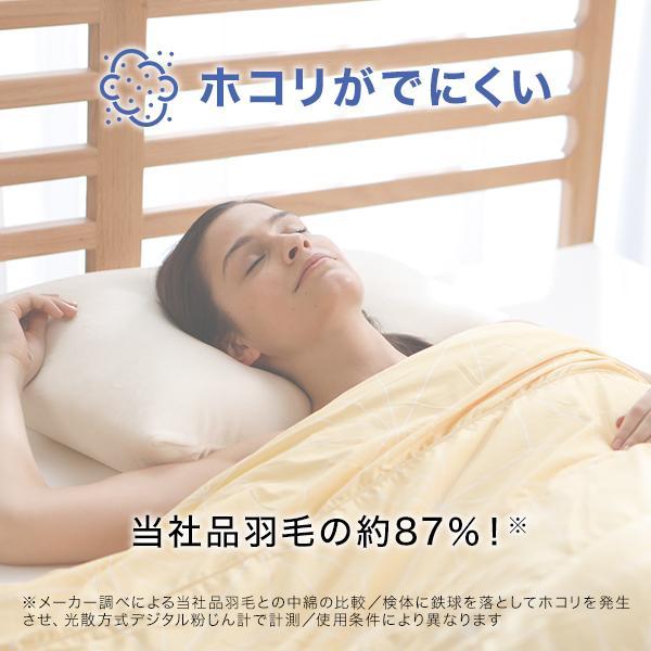 トゥルースリーパー（True Sleeper） 掛け布団 ホオンテック