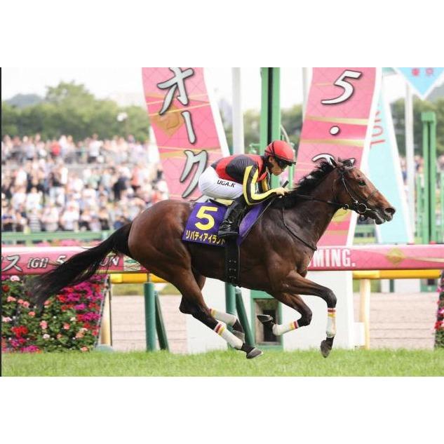 リバティアイランド 三冠制覇特別仕様！ Sサイズ ぬいぐるみ アイドル