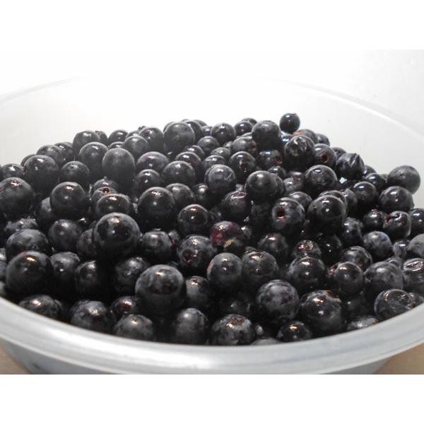 ヤマブドウ 2Kg×1箱 北海道産 山ぶどう 出荷時期：9〜10月 : 旬をお