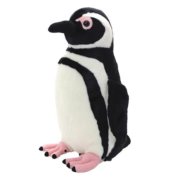すみだ水族館 オリジナル 飼育員監修 マゼランペンギン ぬいぐるみ