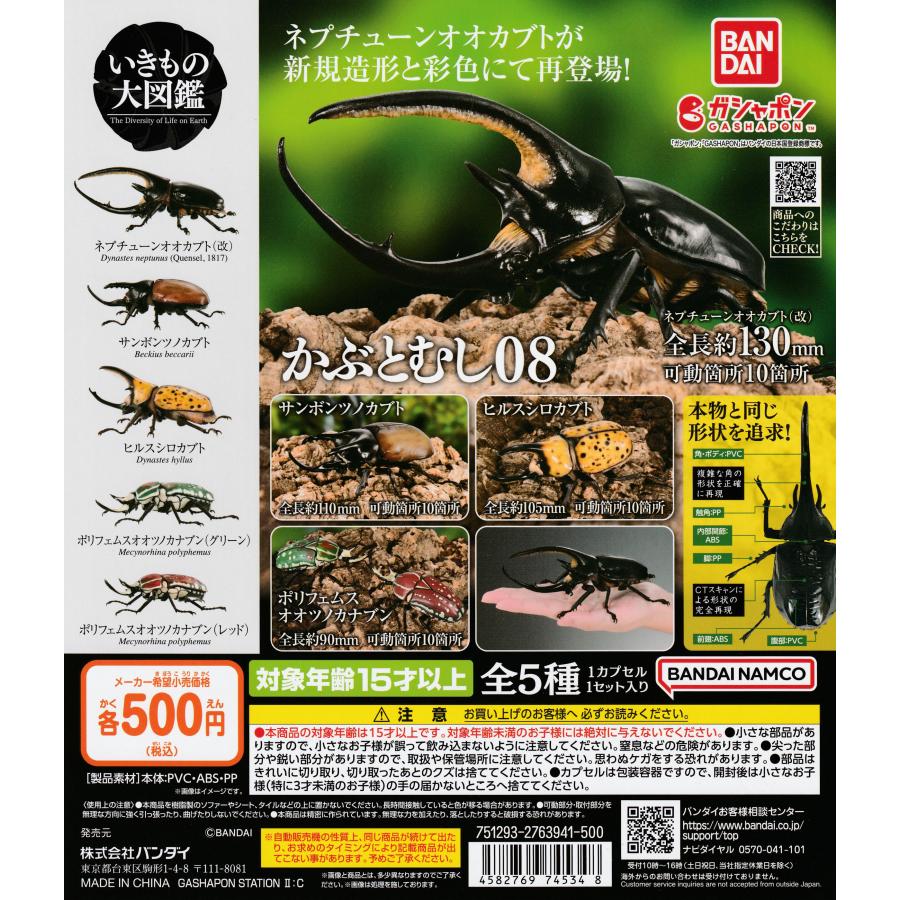 いきもの大図鑑 かぶとむし08 [全5種セット フルコンプ] ガチャガチャ