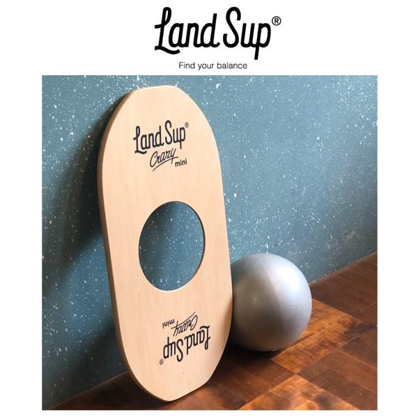 サーフィン 体幹 トレーニング 陸トレ バランスボード/LandSup ランド