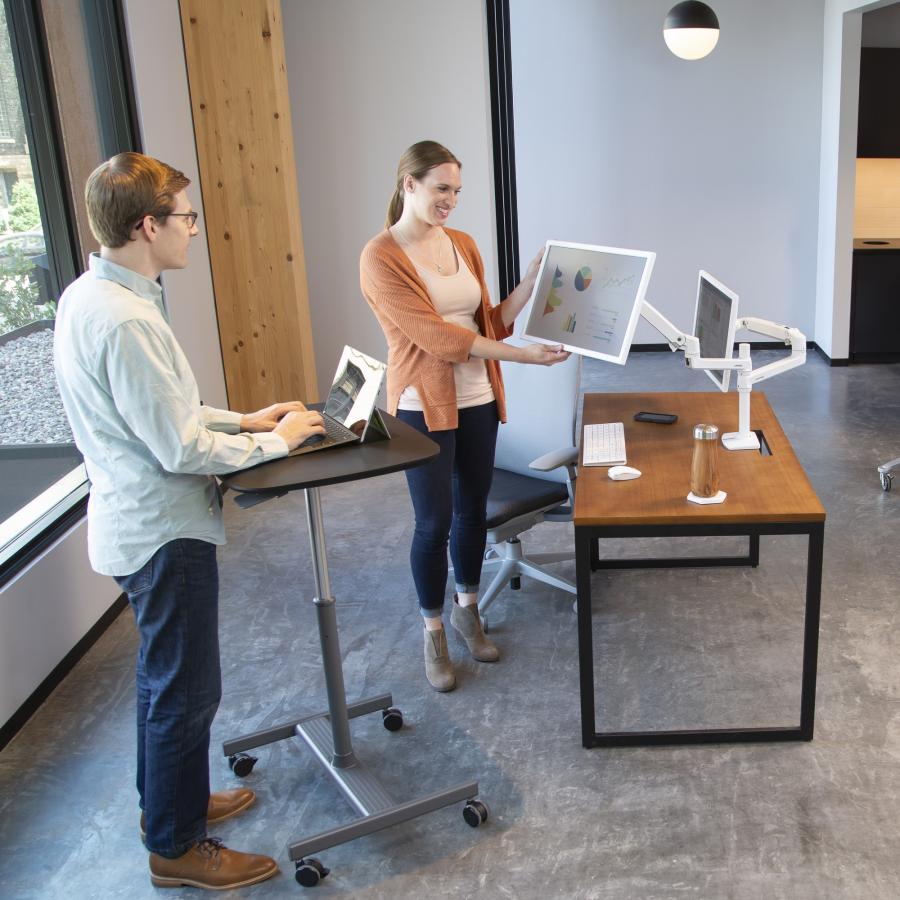 エルゴトロン（ergotron） LX デスクマウント デュアル モニターアーム