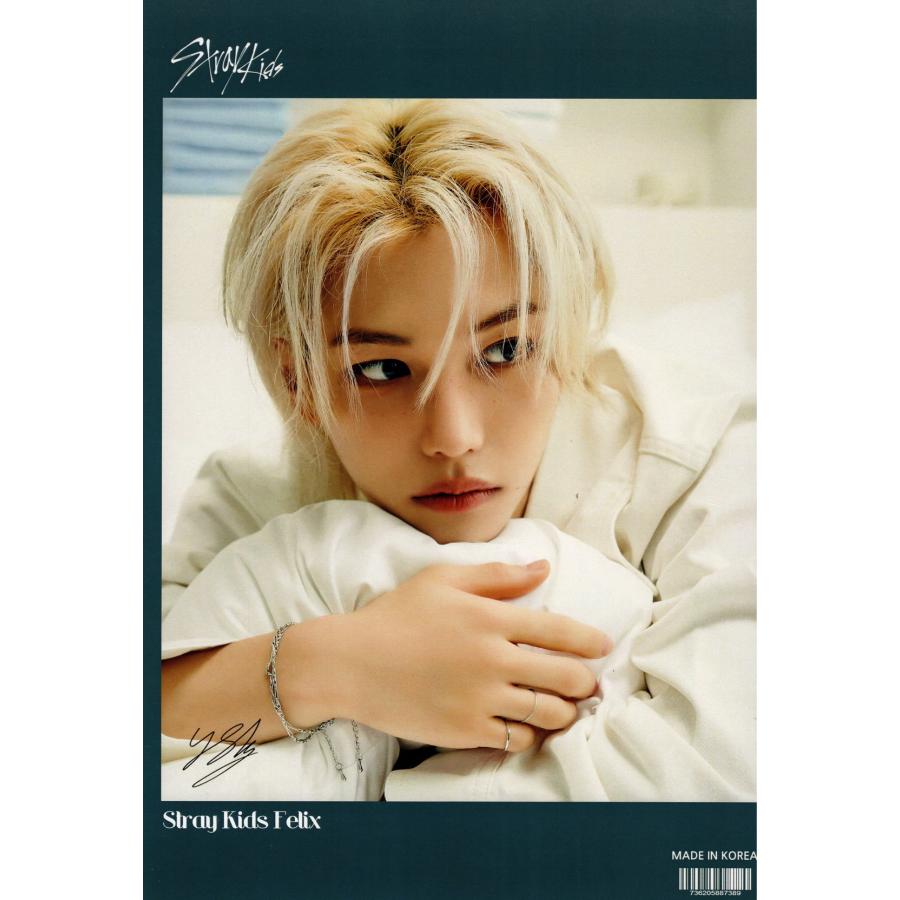 STRAY KIDS スキズ Felix フィリックス グッズ ポスター 10枚セット A4