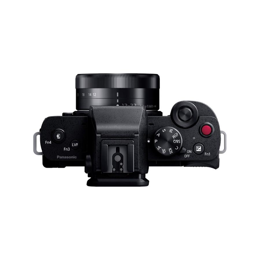 LUMIX 公式店 パナソニック デジタル一眼カメラ DC-G100DW ダブル