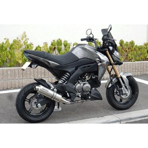 WR WR'S Kawasaki Z125PRO用 チタンショートオーバルソリッド