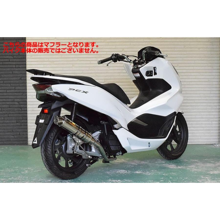 REALIZE（リアライズ） リアライズマフラー 345-011-00 Blink