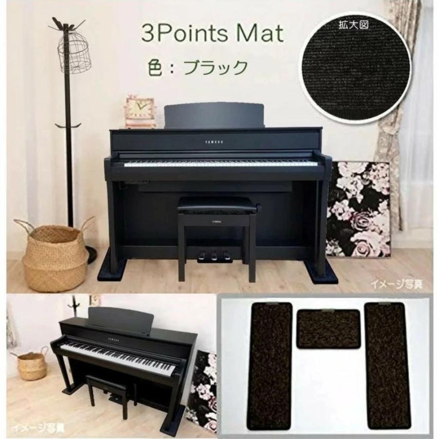 CASIO（カシオ） 【最短翌日お届け】電子ピアノ CASIO CELVIANO AP