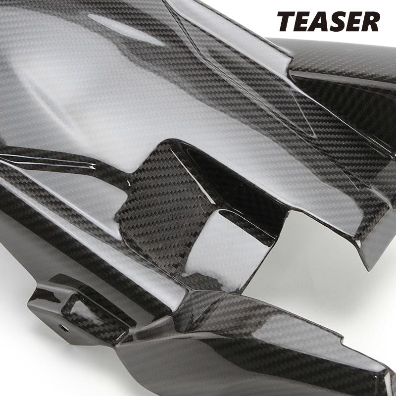 TEASER RFK08G REAR FENDER 【DRY CARBON HG】 Kawasaki Ninja1000SX