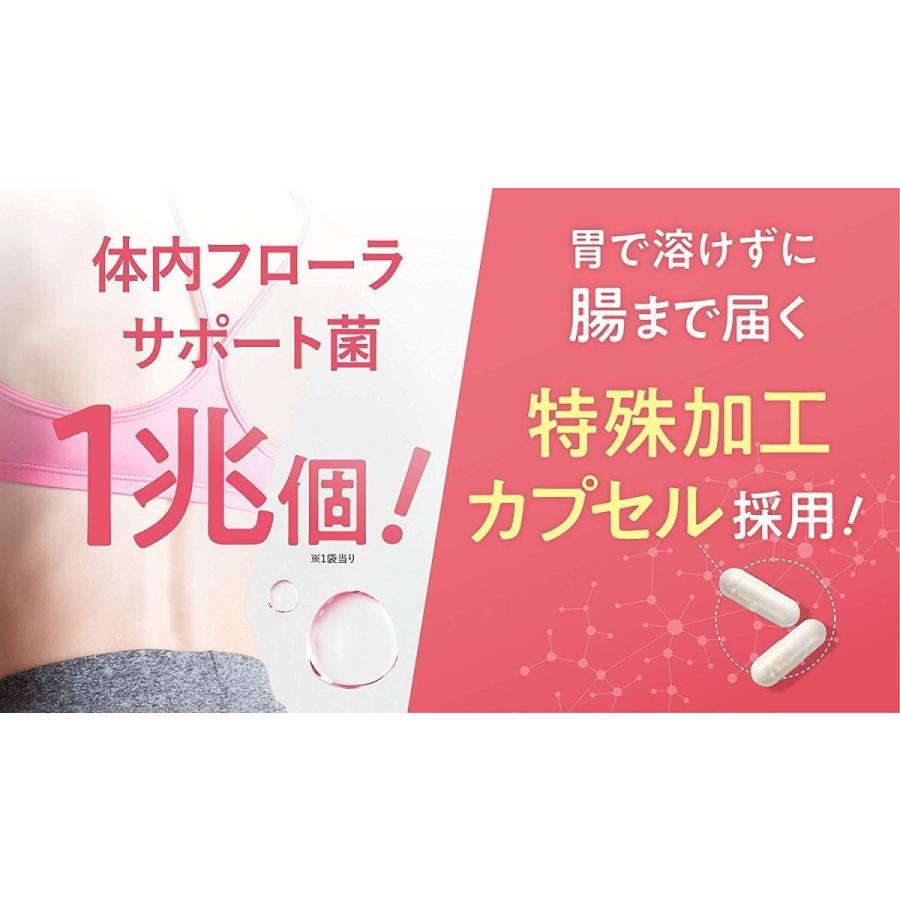 ビセラ BISERA 30粒 腸内フローラ 乳酸菌 ダイエット サプリメント