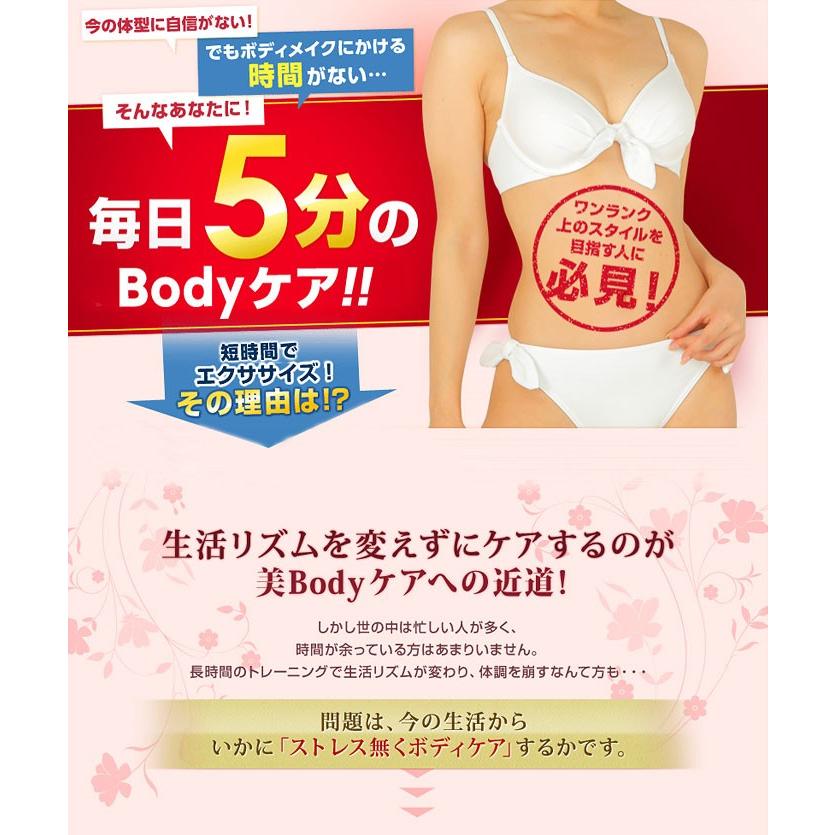 ボニック 本体 ボディケアマシーン ダイエット スタイルアップ 毎日5分