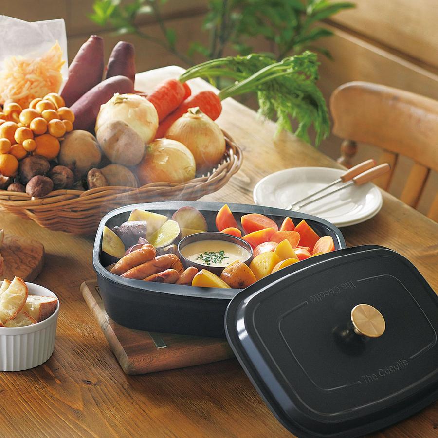 リンナイ（Rinnai） ≪特別価格≫【型番：RBO-TCV】ザ・ココット固定枠