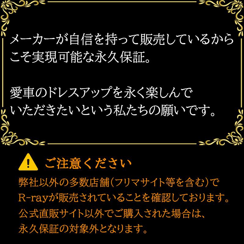 字光式ナンバープレート LED 照明器具 R-ray アールレイ 2枚セット 1台