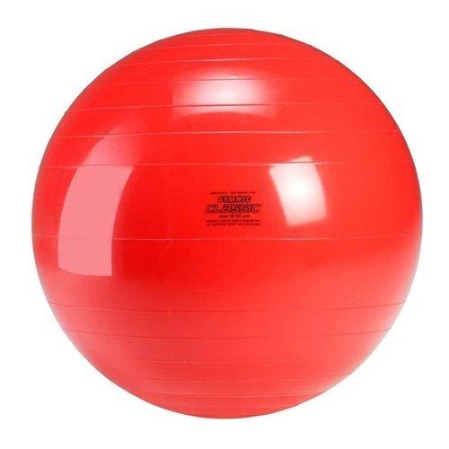 ギムニク (GYMNIC) 55 赤 ポンプ 空気入れ 付 [2点セット] (バランス