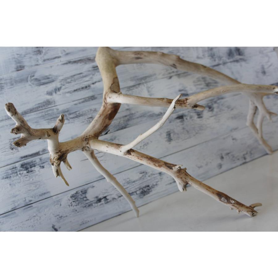 流木 大型サイズ インテリア オブジェ 爬虫類 小動物 登り木