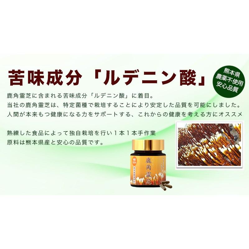霊芝 サプリメント β-グルカン ガノデリン酸 鹿角霊芝（ろっかくれいし