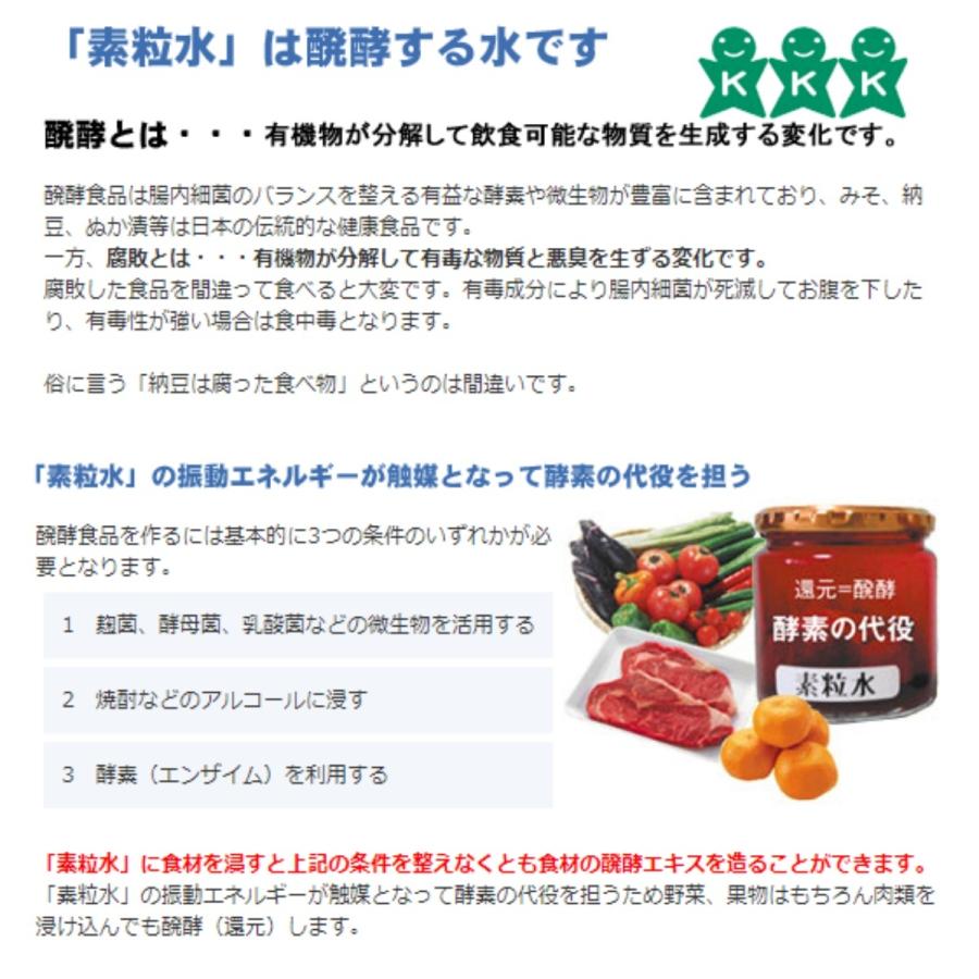 ワンウォーターECO 浄水器 キッチン用 素粒水 醗酵する水 環境改善