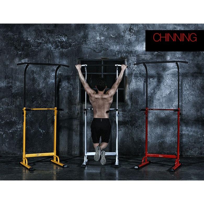 ぶら下がり健康器 懸垂マシン【組立簡単/3色/コンパクト】 懸垂器具