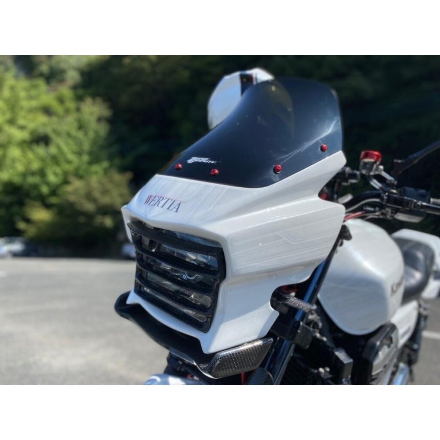 VERTIA ヴェルティア ライトルーバー タイプ：FRP ZRX1200DAEG