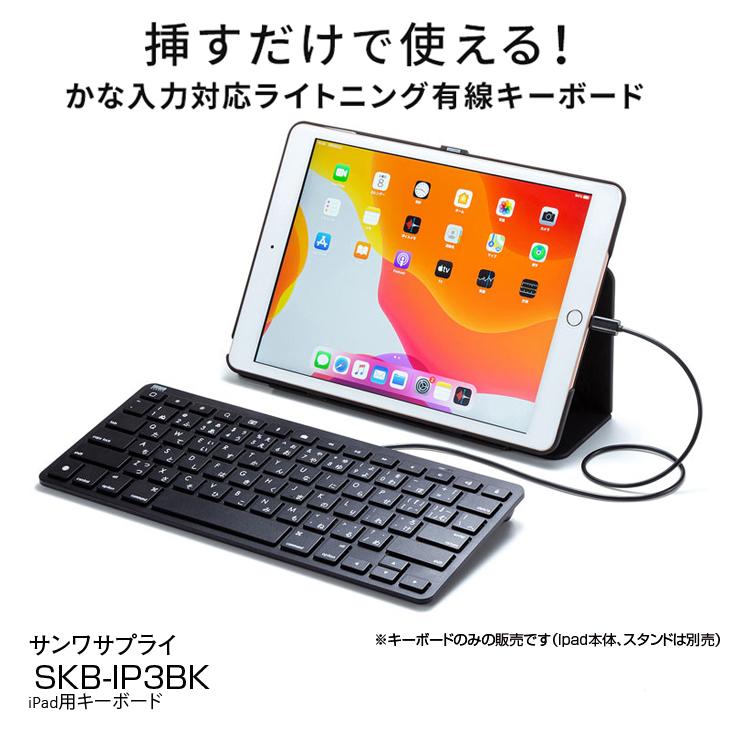 ELECOM（エレコム） 【新品】サンワサプライ iPad用キーボード SKB