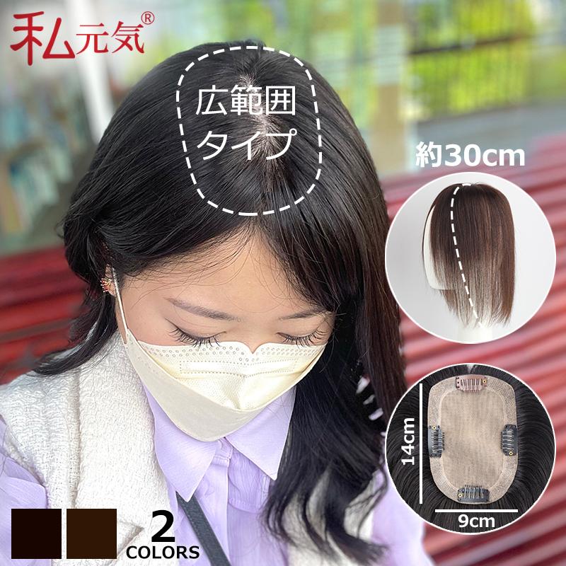 私元気 部分ウィッグ 全国カット 返品交換OK 大面積 9×14cm 自然 通気