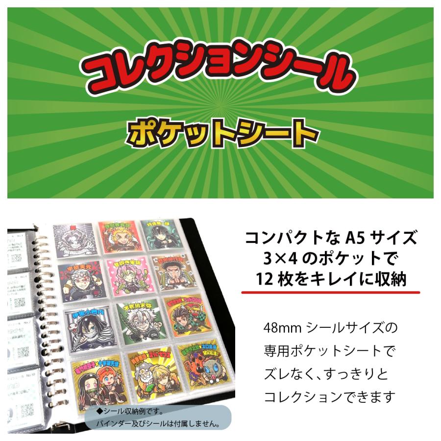 ビックリマンシール A5 ポケットシート 10枚 (120枚収納) 48mm 専用