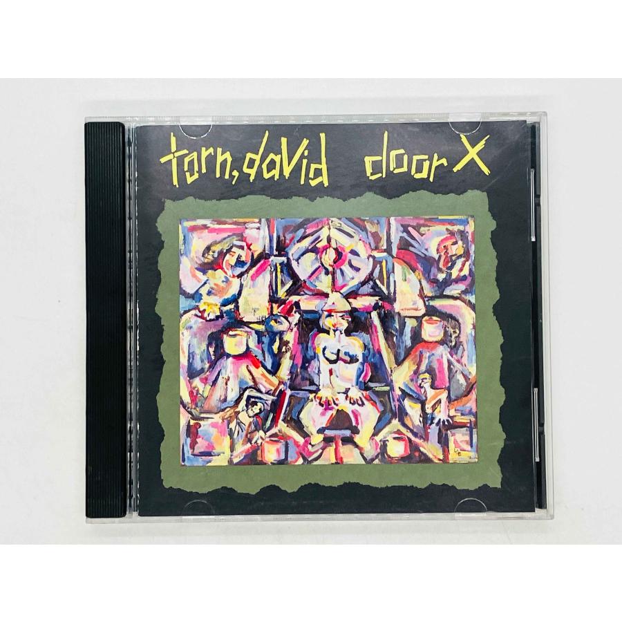 即決CD torn,david / door X WINDHAM HILL RECORDS デヴィッド・トーン