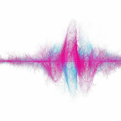 SUPER BEAVER 音楽 ［CD+Blu-ray Disc］＜初回生産限定盤A＞ CD ※特典