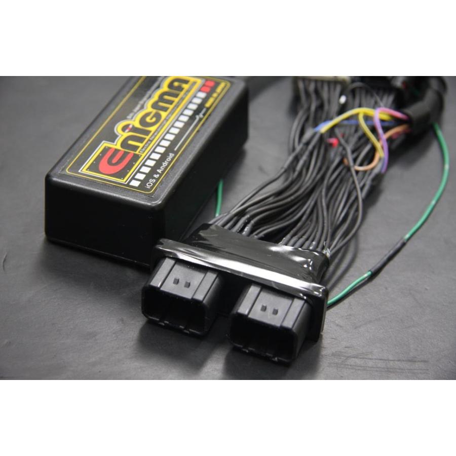 DILTS JAPAN（ディルツジャパン） ディルツ ENIGMA type RTF HONDA