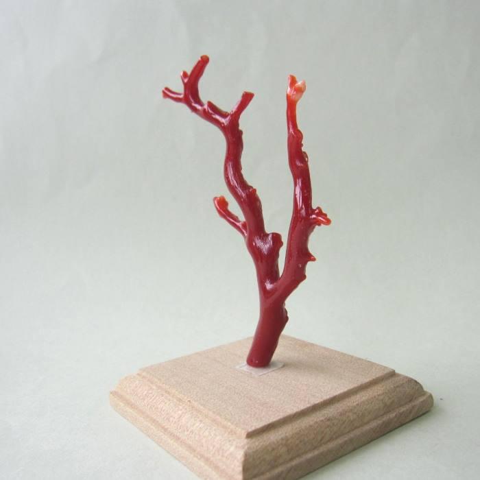 日本 高知沖産血赤珊瑚 拝見 置き物 原木 置物 飾り台付 開運 枝 宝石