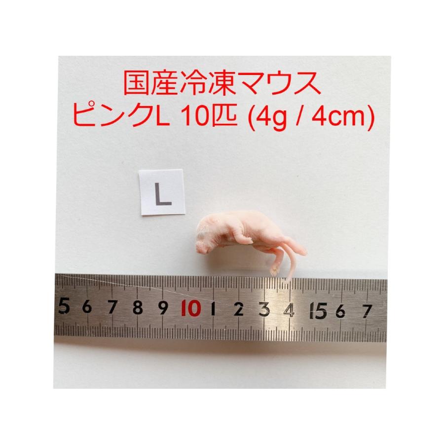 国産 冷凍マウス ピンクマウスL 10匹 ~ 4g / 4cm ショップザ・パーン