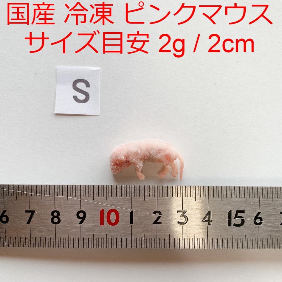 国産 冷凍マウス ピンクマウスS 10匹 冷凍餌 ~2g / 2cm : ショップザ