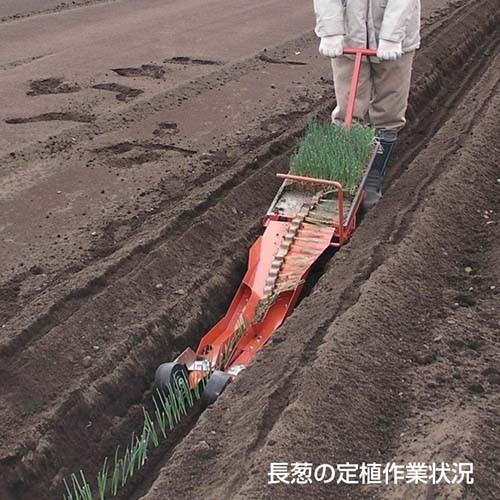 P8倍）（法人限定）ニッテン チェーンポット簡易移植器 ひっぱりくん