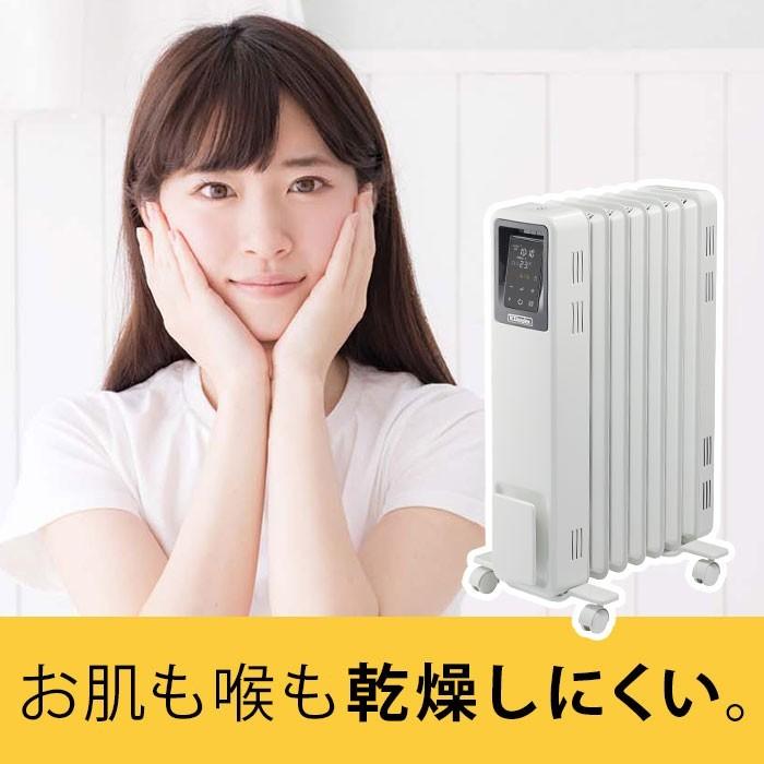 Dimplex（ディンプレックス） Dimplex Brit B04 ECR12E オイルフリー