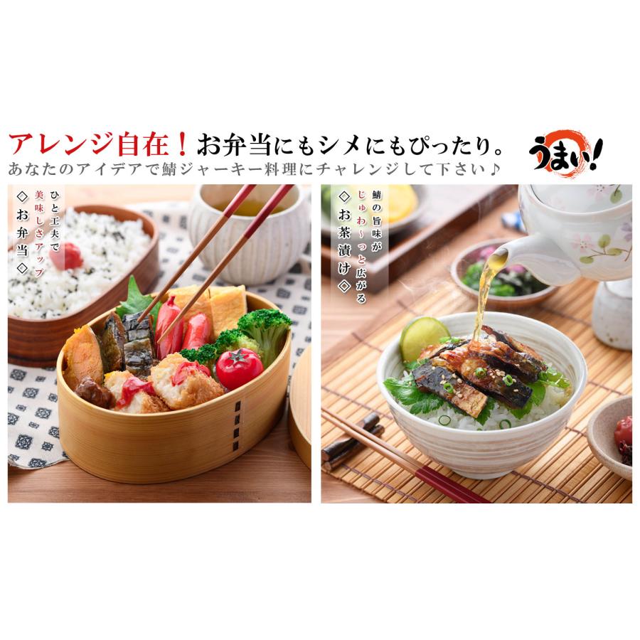 やみつき おつまみ 炙り鯖ジャーキー 国産さば使用 270g（90g×3個