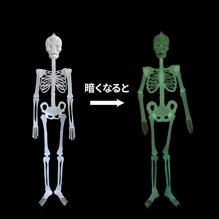 ハロウィン 飾り 骸骨 ガイコツ 模型 光る 蓄光 タイプ 全長143cm