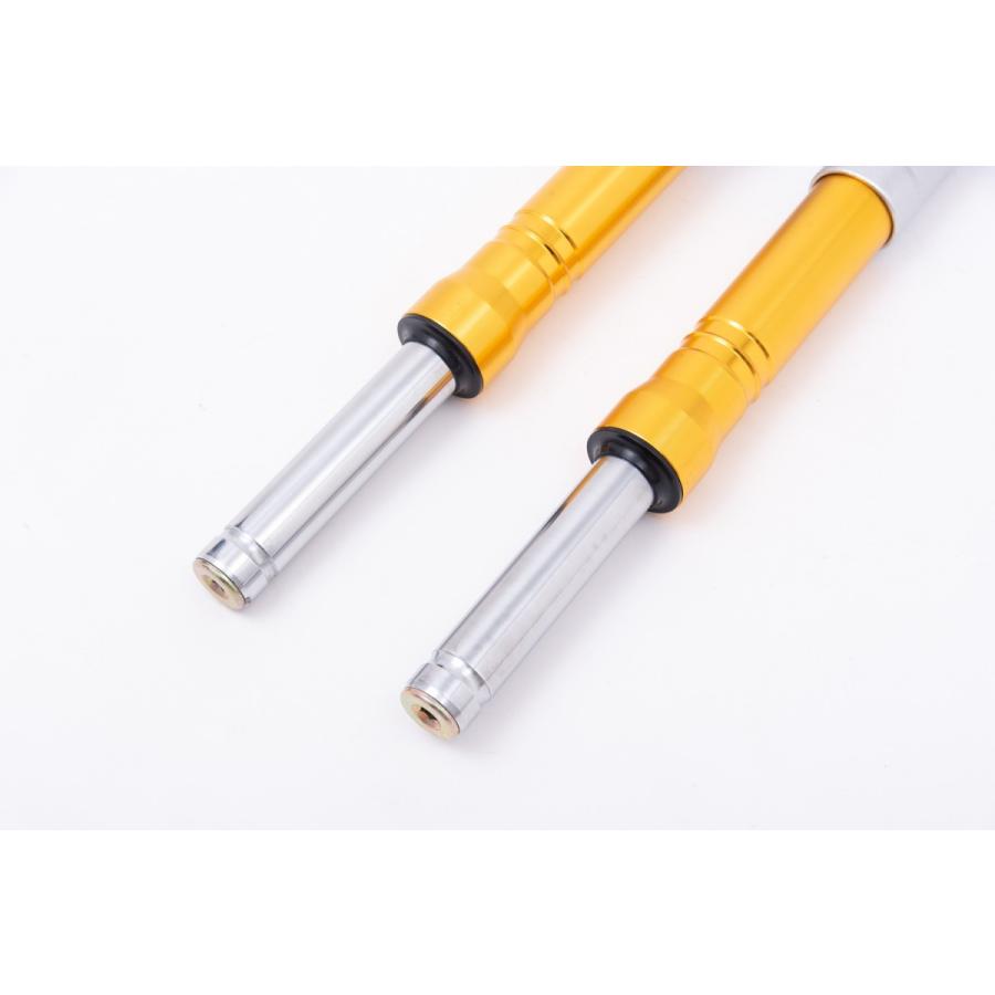 ライブディオ ZX DIO AF18 AF27 AF34 フロントサスペンション フロント