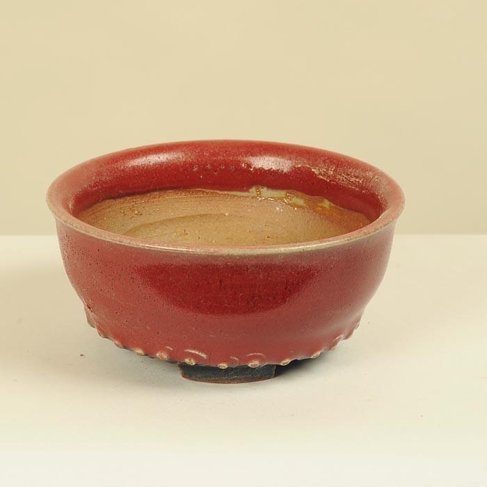 盆栽小鉢：英明（耀山） (丸鉢 9.2cm)*資材 : 遊恵盆栽 Yahoo!店