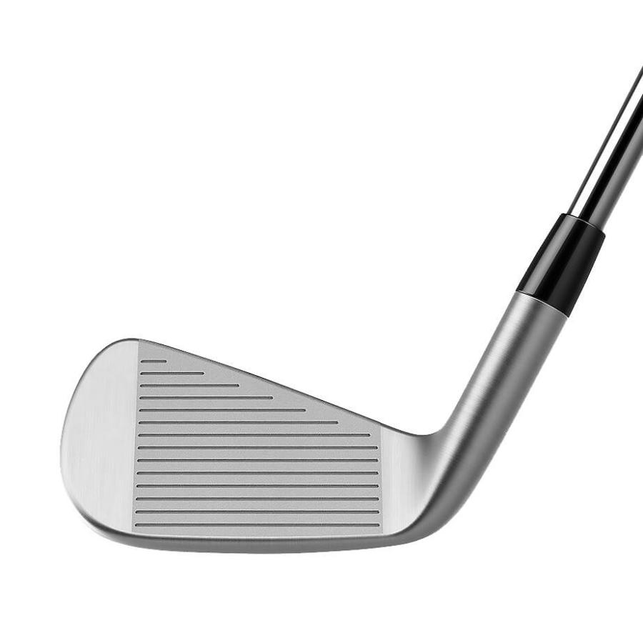 TaylorMade（テーラーメイド） P790 アイアン5本セット(#6-PW) N.S.PRO