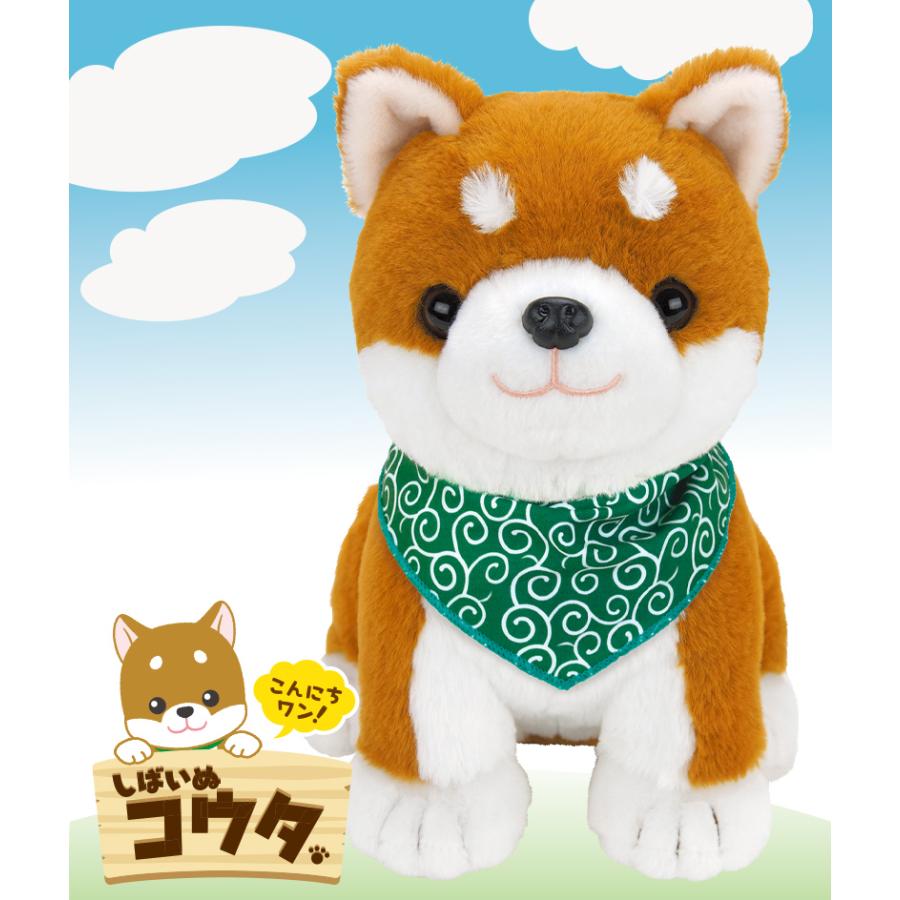 ポイント10倍＋1000円OFFクーポン】 こんにちワン！ しばいぬコウタ