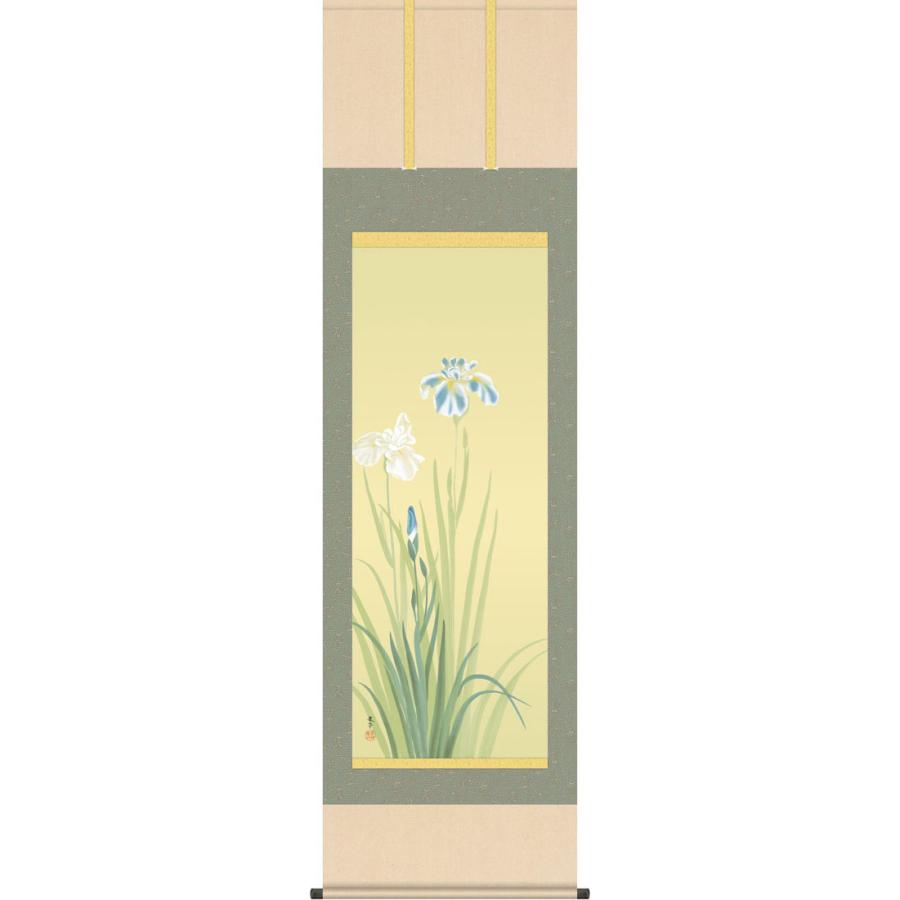 掛軸 (掛け軸) 花あやめ 菱田春草 尺五立 約横54.5cm×縦190cm g7032