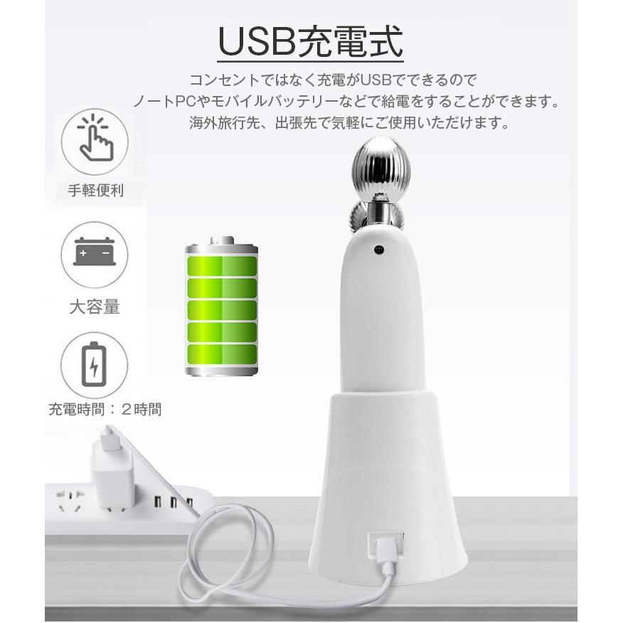 EMS美顔器 美顔ローラー マイクロカレント ラジオ波 マッサージ 小顔