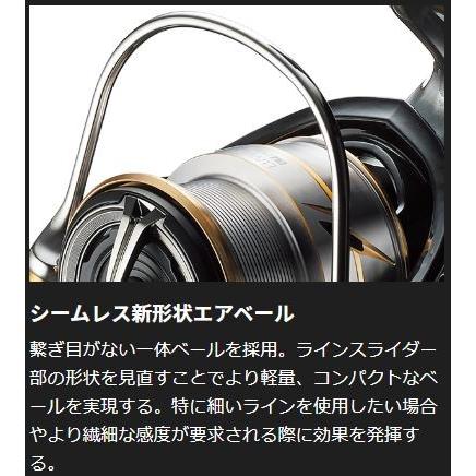 DAIWA（ダイワ） 20 ルビアス LT3000-C /スピニングリール : つり具の