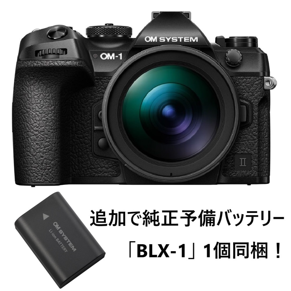 オリンパス OLYMPUS OM-D E-M10 Mark II EZダブルズームキット