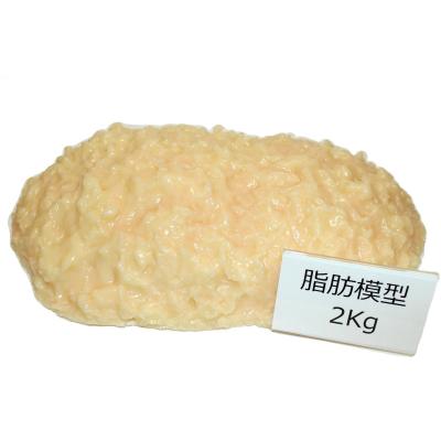 脂肪模型（ダイエット、健康グッズ）のおすすめ人気商品一覧 通販