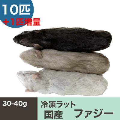 冷凍マウス リタイアのおすすめ人気商品一覧 通販 - Yahoo!ショッピング