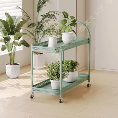 多肉 棚のおすすめ人気商品一覧 通販 - Yahoo!ショッピング