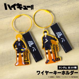 ハイキュー グッズ 公式 日本製 ガラスマグカップ 3種 音駒高校・梟谷