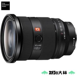 G Lens [新品]SONY ソニー FE 90mm F2.8 Macro OSS SEL90M28G : カメラ