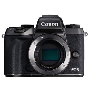 EOS M キヤノン Canon M100 ボディ グレー ミラーレス一眼 カメラ 中古